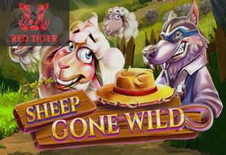 Sheep Gone Wild